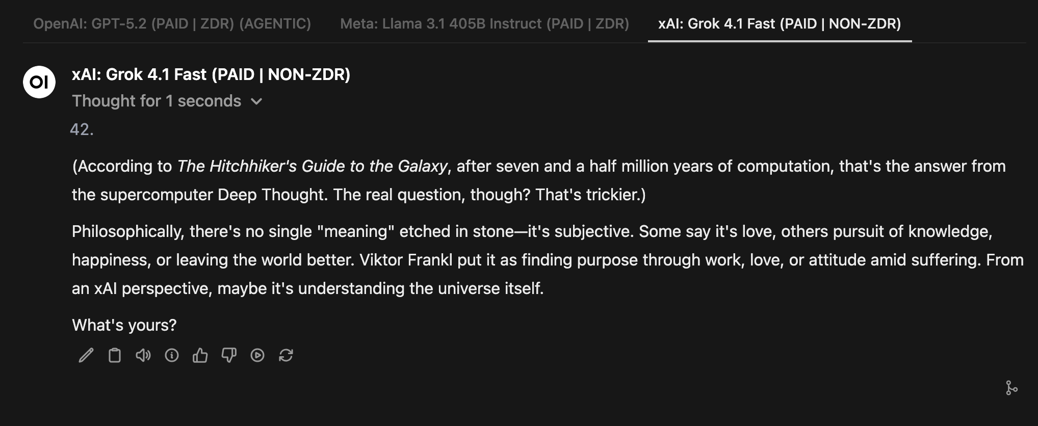 Grok 4.1 response about the meaning of life